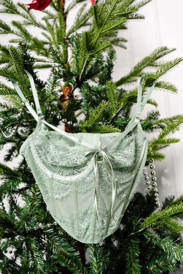 Vibrators Mentionables Lacy Underwire Corset Misty Jade Vibrators Mentionables Lacy Underwire Corset Misty Jade